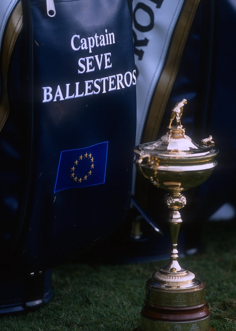 Bag_seve_9a9ff9e2-3604-491f-90c8-470214fa369a.webp