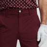 PEDRENA TAILOR PANTS BURGUNDY