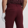 PEDRENA TAILOR PANTS BURGUNDY