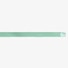 CLUTCH BELT FROSTY GREEN
