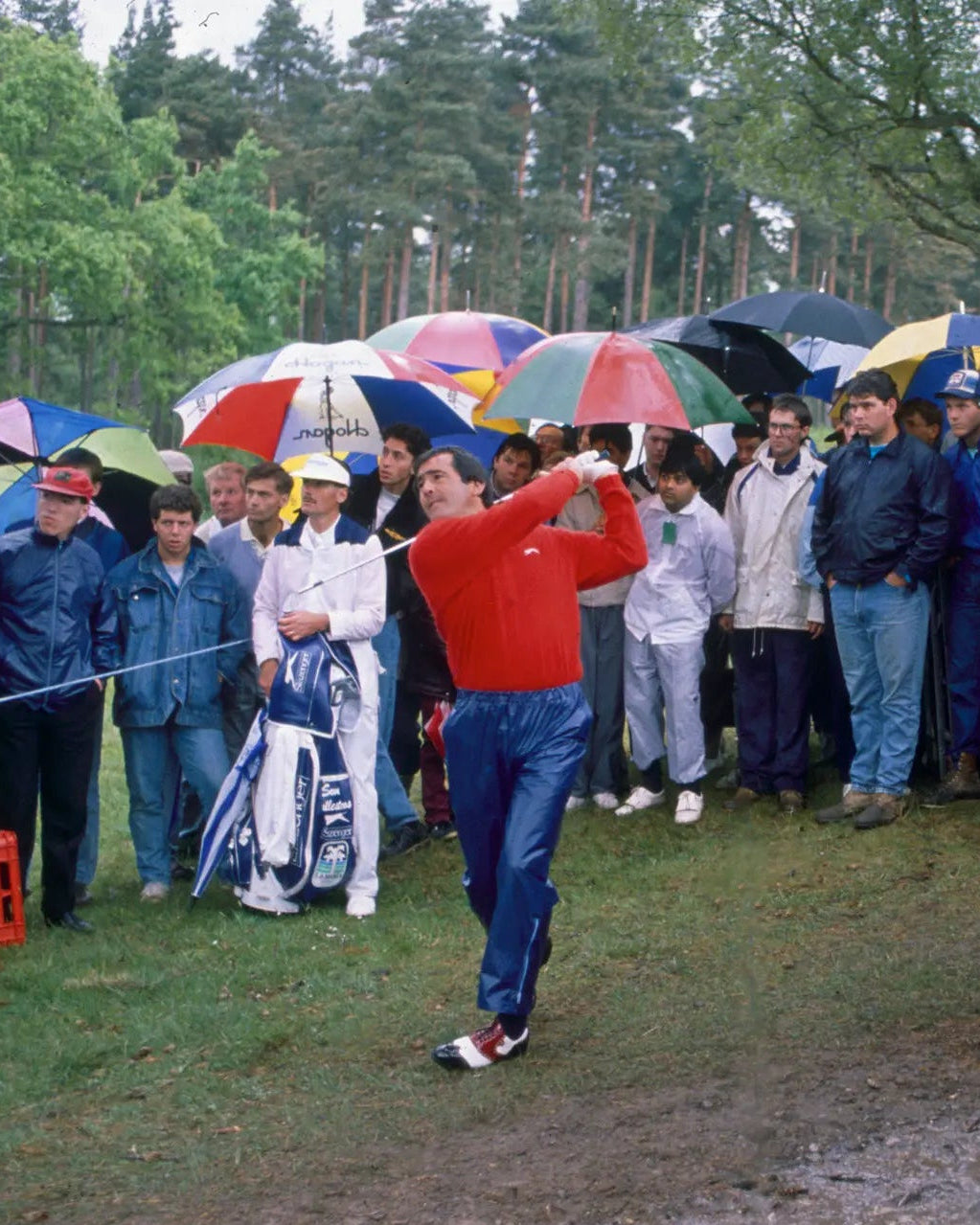 Seve_11_a85d7a71-18f4-4dc8-b19d-a2f280e8d4a0.webp