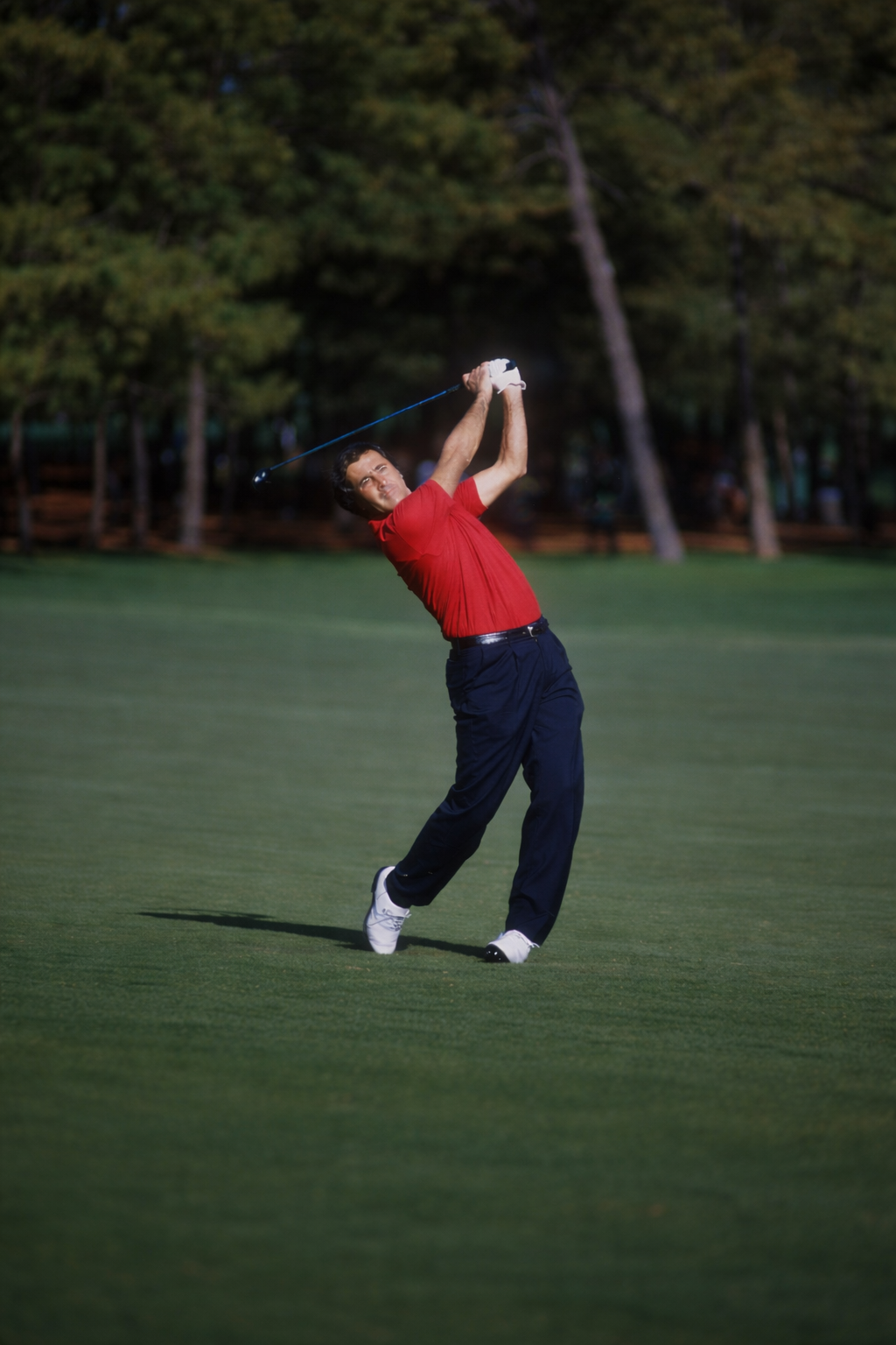 SEVE COLLECTION – sevecollection.com